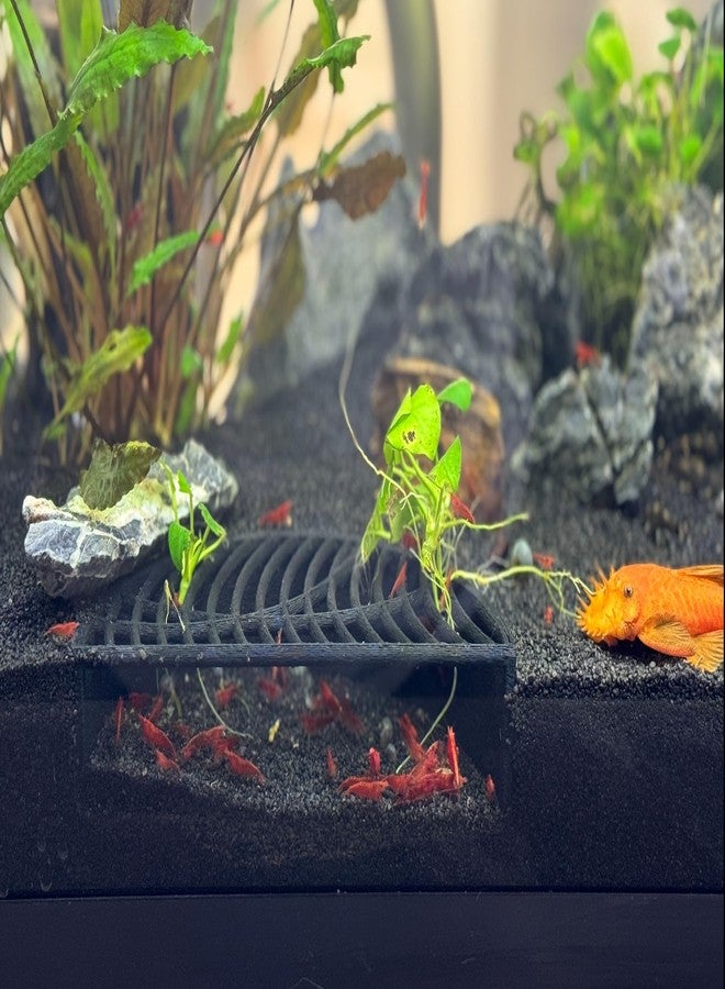 LifeWithPets Shrimp Breeding Hide | Shrimp Cave | Shrimp Hide | Tunnel | Black - Image 5